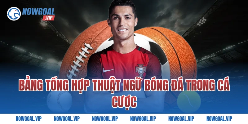 Bảng Tổng Hợp Thuật Ngữ Bóng Đá Trong Cá Cược