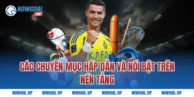 Các chuyên mục hấp dẫn và nổi bật trên nền tảng