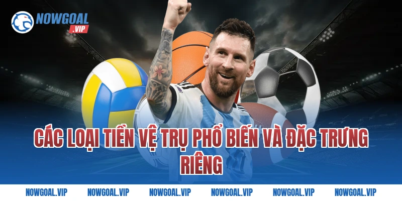 Các loại tiền vệ trụ phổ biến và đặc trưng riêng