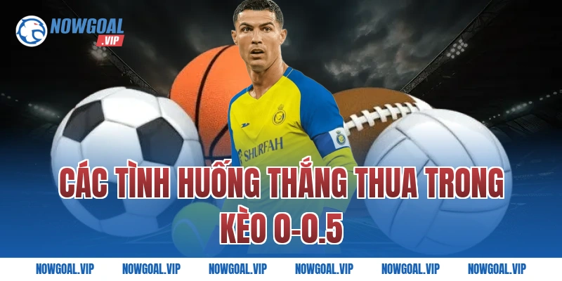 Các tình huống thắng thua trong kèo 0-0.5