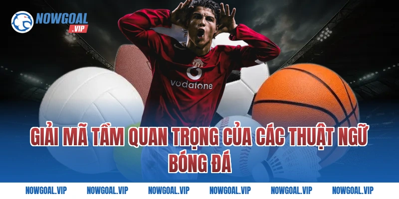 Giải Mã Tầm Quan Trọng Của Các Thuật Ngữ Bóng Đá