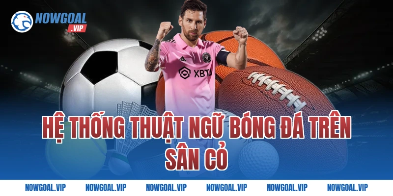 Hệ Thống Thuật Ngữ Bóng Đá Trên Sân Cỏ