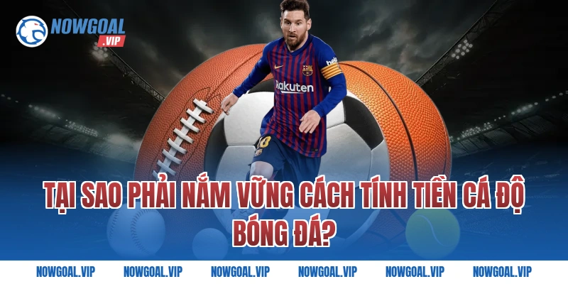 Tại Sao Phải Nắm Vững Cách Tính Tiền Cá Độ Bóng Đá?