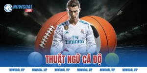 Thuật Ngữ Cá Độ Bóng Đá Phổ Biến Dễ Hiểu Nhất