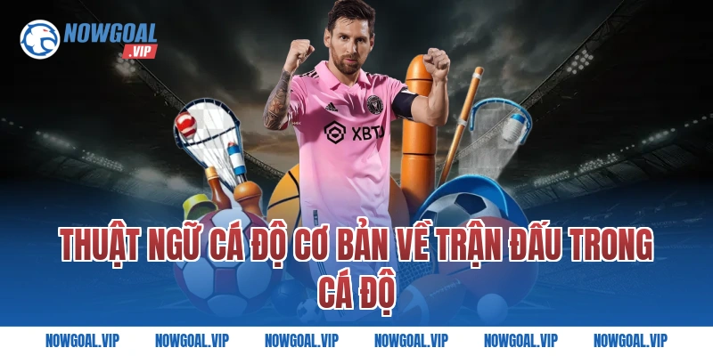 Thuật Ngữ Cá Độ Cơ Bản Về Trận Đấu Trong Cá Độ