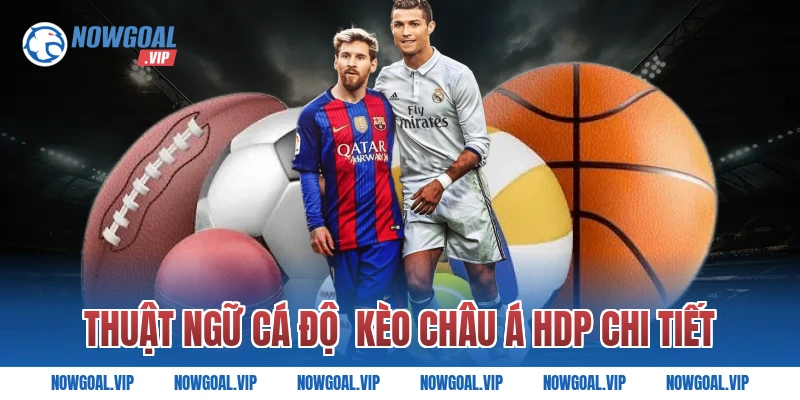 Thuật Ngữ Cá Độ  Kèo Châu Á HDP Chi Tiết